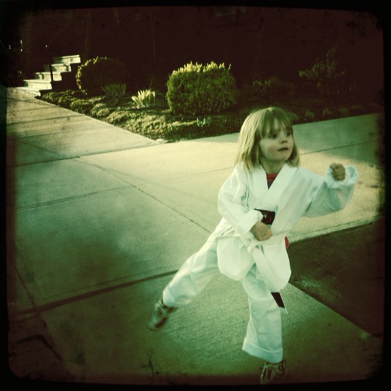budge ninja