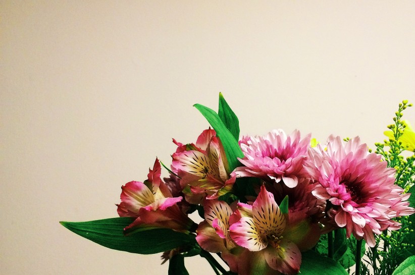 Processed with VSCOcam with k1 preset