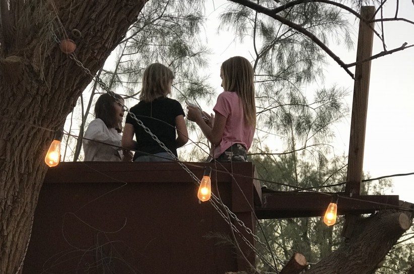 Taking on tyranny with an iPad