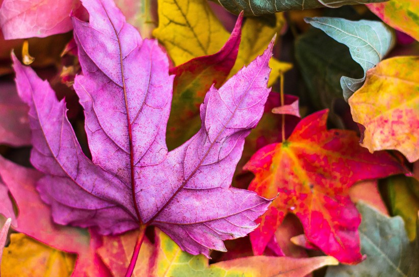 jeremy-thomas-O6N9RV2rzX8-unsplash